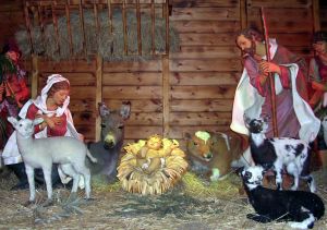 686077_nativity